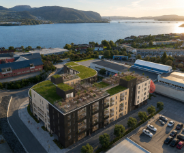 Kvassnesvegen